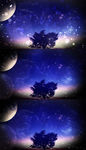 歌曲夜空中最亮的星