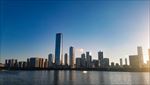 深圳湾建筑群