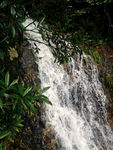 山泉
