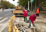 市政道路养护