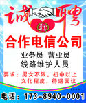 合作电信公司
