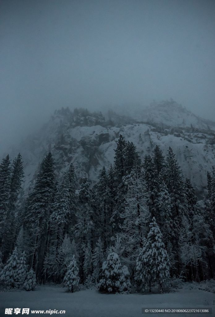 雪景