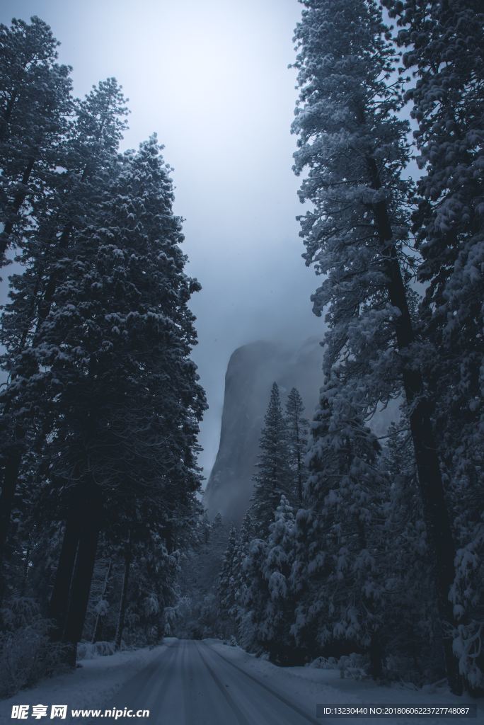 冬季雪景