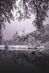 冬季雪景