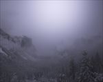 冬季雪景