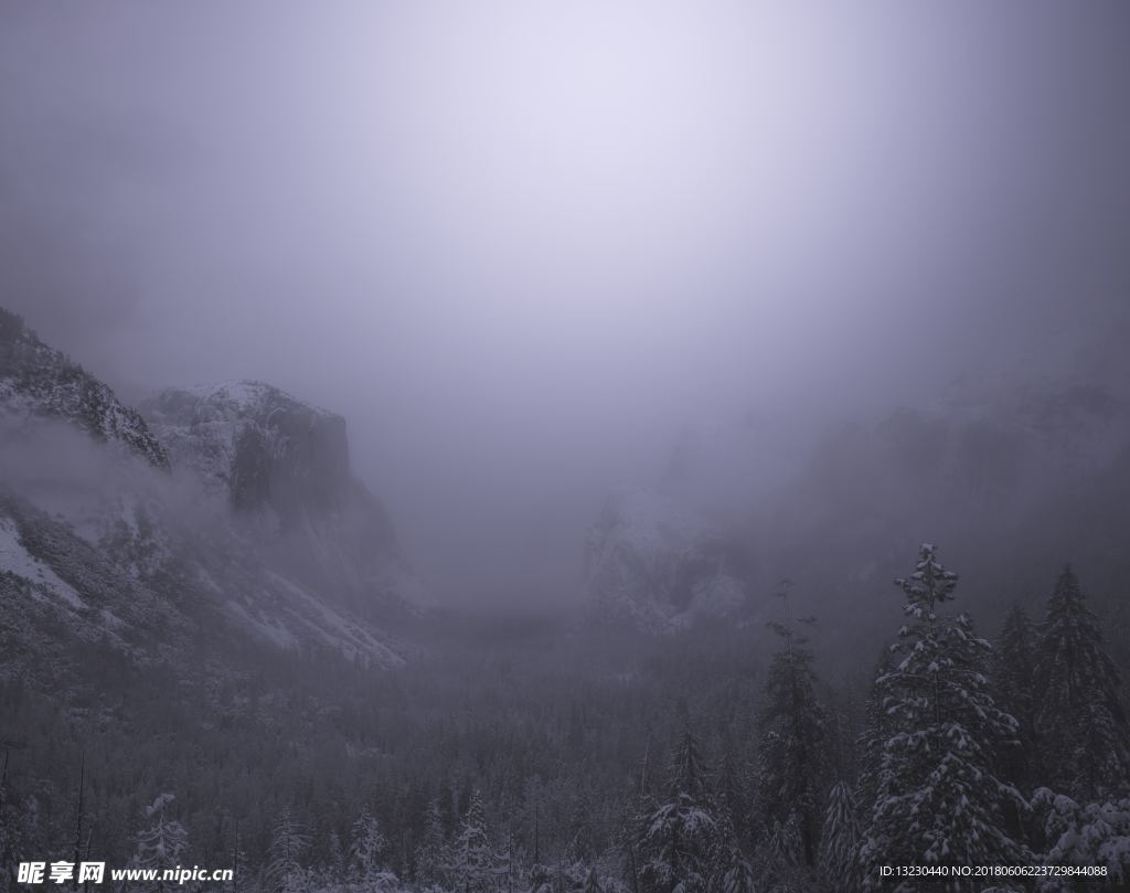 冬季雪景