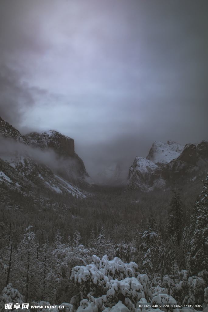 冬季雪景