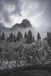 冬季雪景