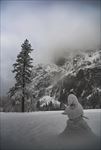 冬季雪景