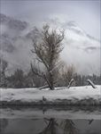 冬季雪景