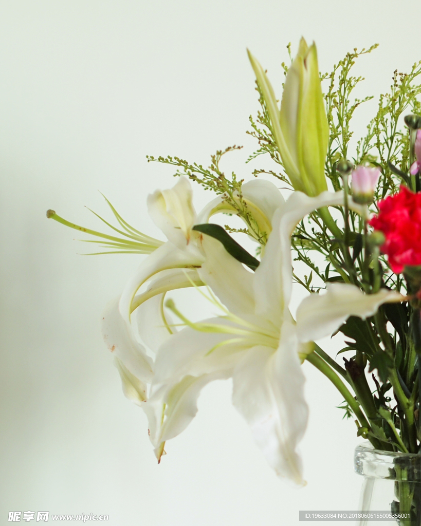 花束 鲜花 白百合