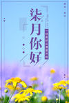 柒月你好