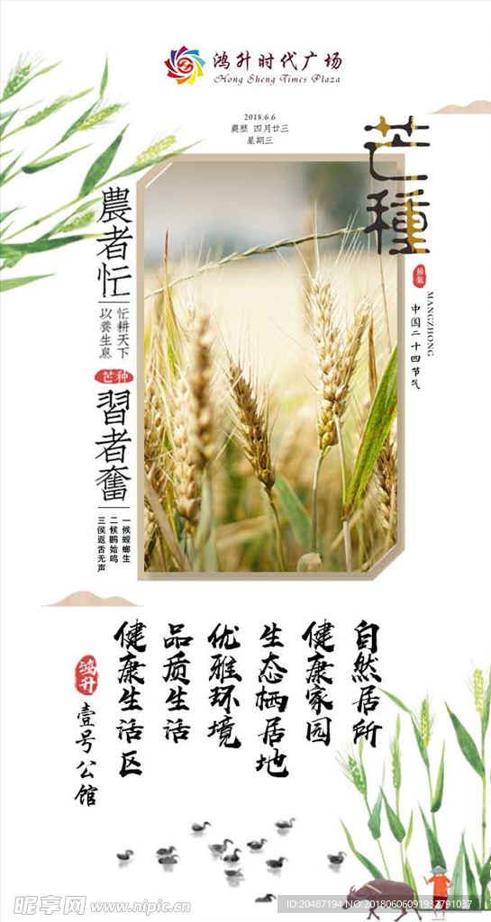 芒种