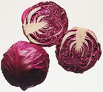 紫白菜