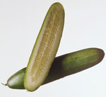 黄瓜