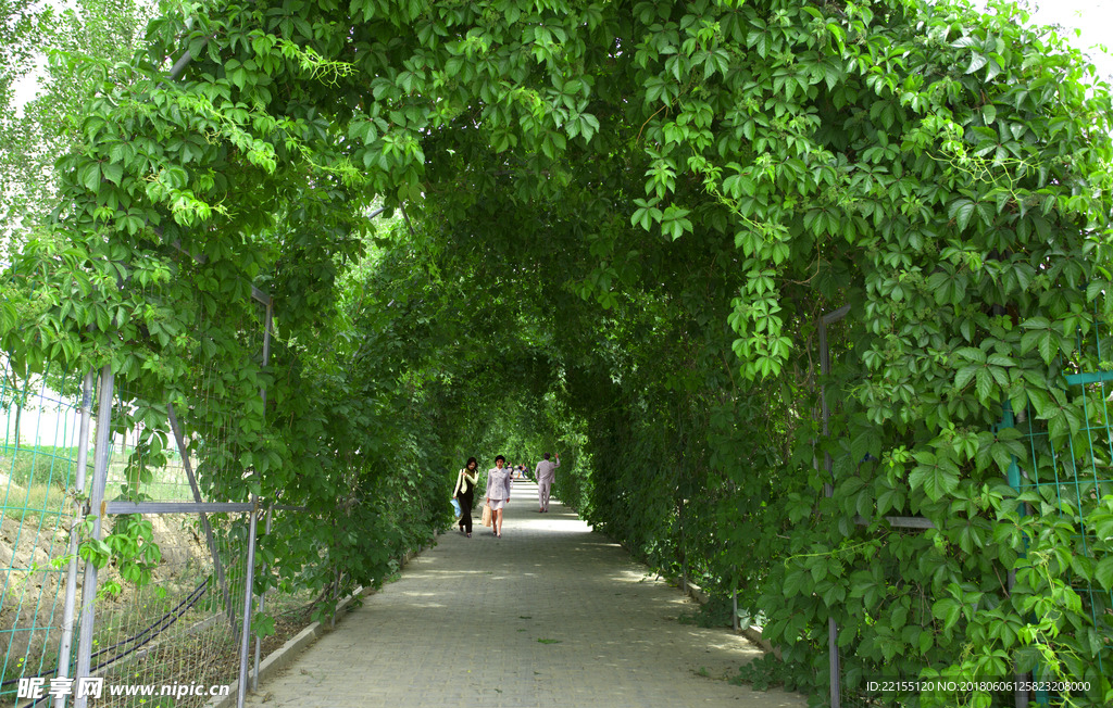 图片PS 景观大道