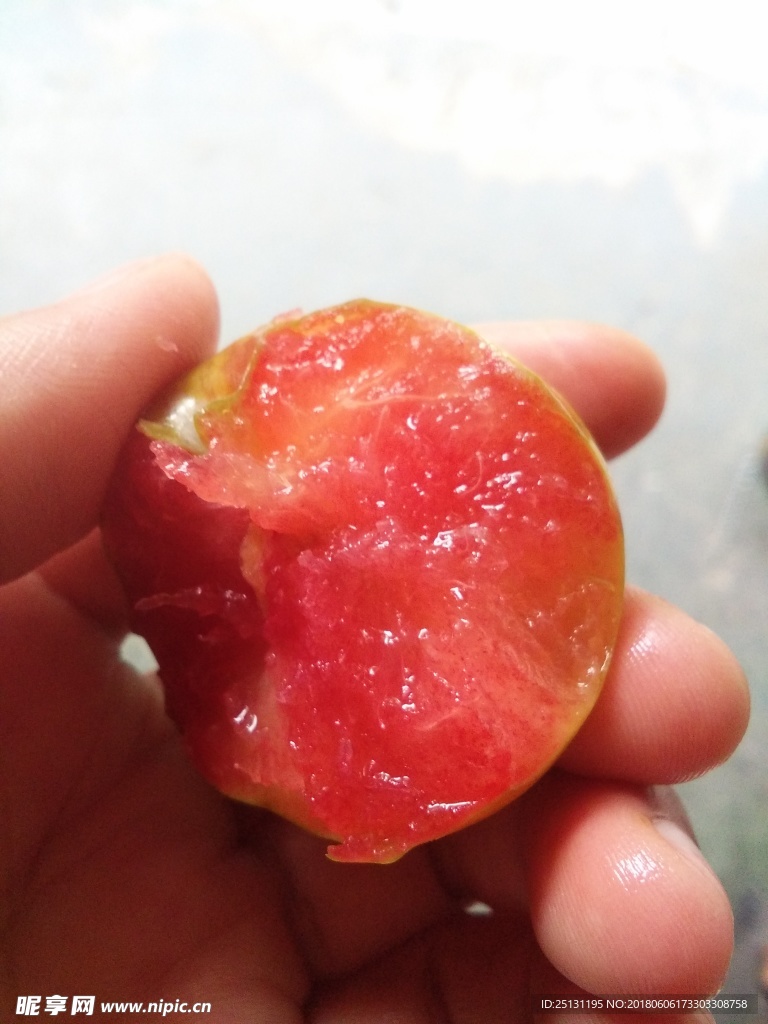三华李