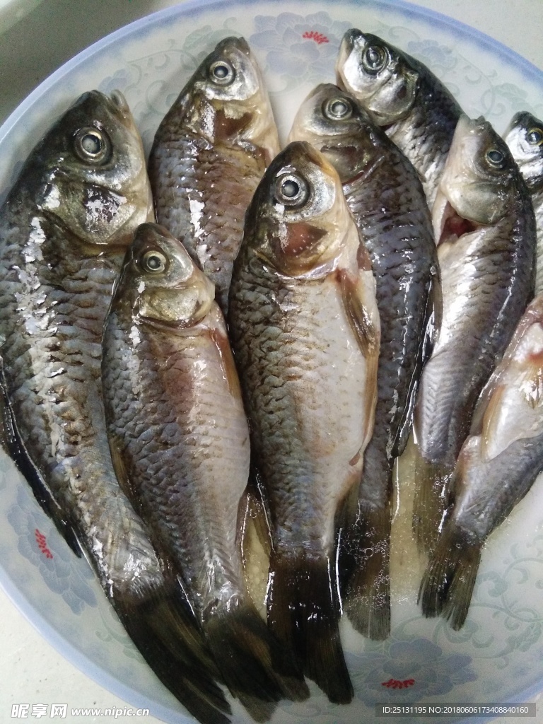 鱼