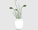 植物图片