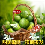 青桔淘宝主图直通车