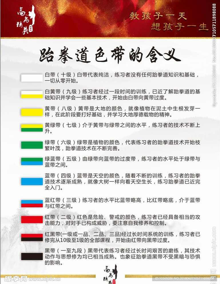 跆拳道色带级别展板
