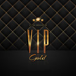 VIP会员