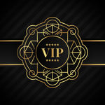 VIP会员