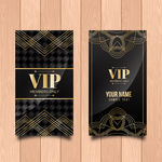 VIP会员