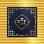 VIP会员