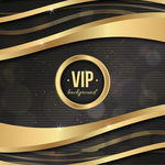 VIP会员