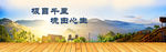 大气网站广告底图