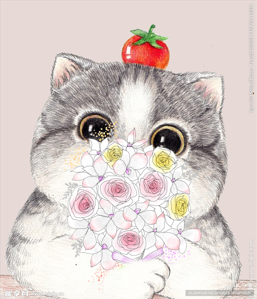 插画花猫