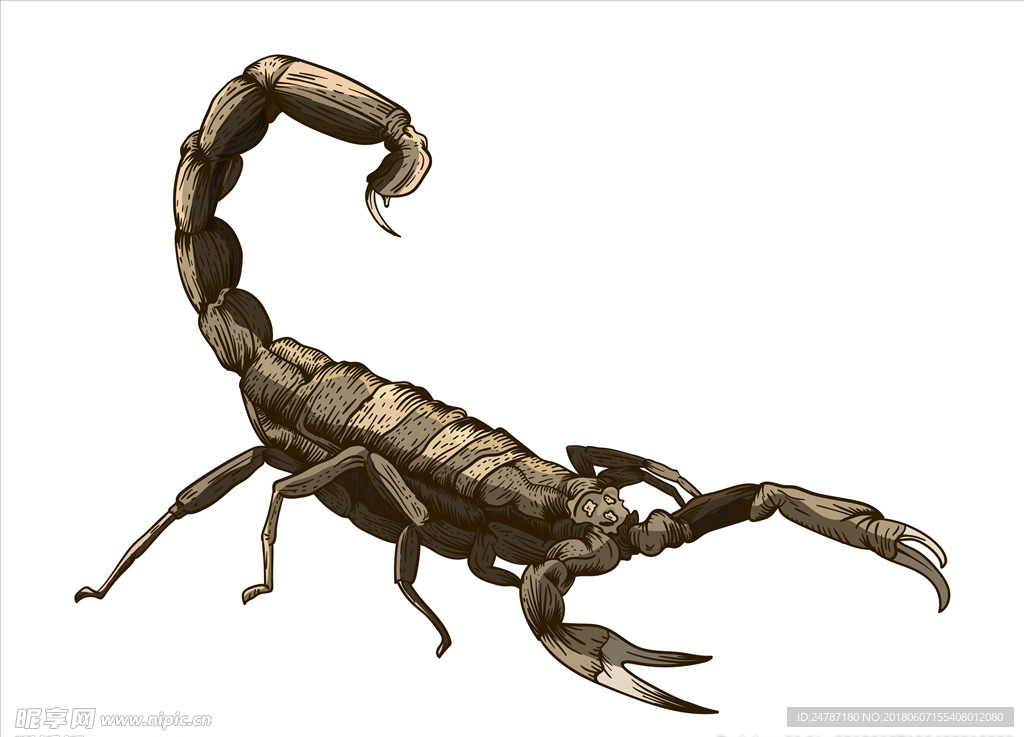 矢量卡通手绘生物蝎子