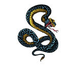 矢量卡通插画彩色蛇纹身图案