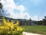 玫瑰海岸