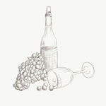 葡萄酒插图