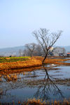 乡村风光 乡村美景 乡村风