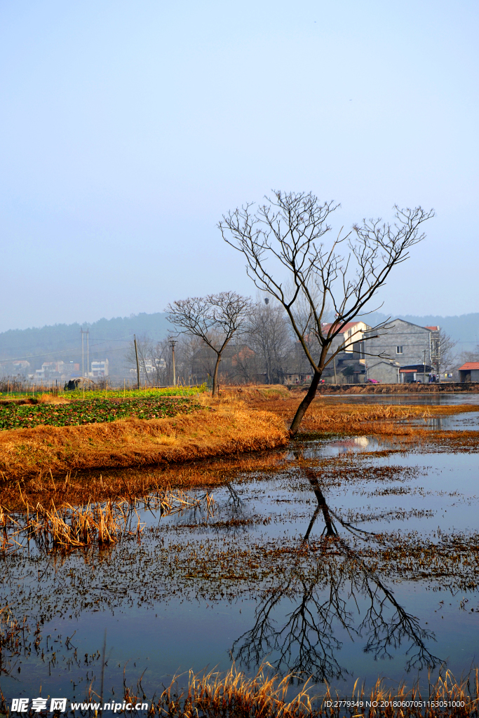 乡村风光 乡村美景 乡村风