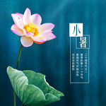节气
