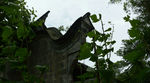 行于四川崇州（元通古镇）