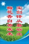 校园文化