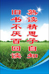 校园文化