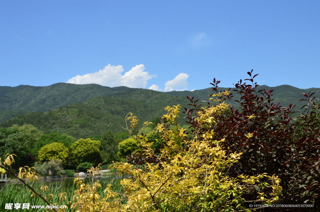 植物园风景