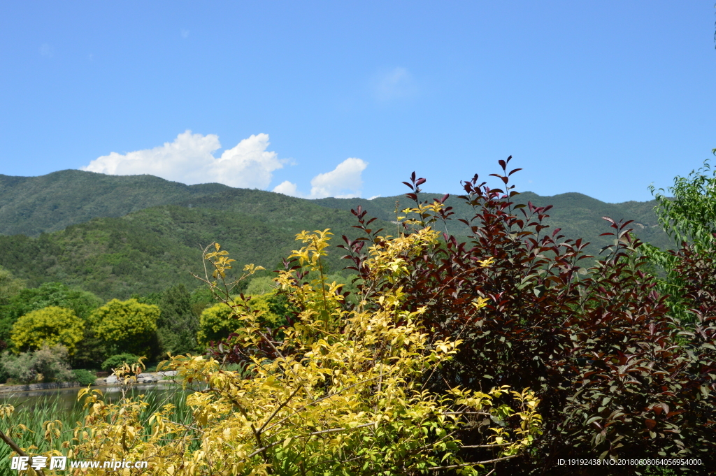 植物园风景