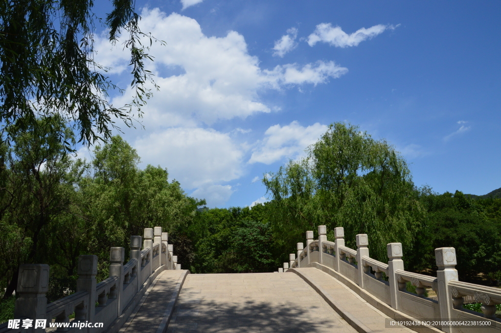 植物园风景