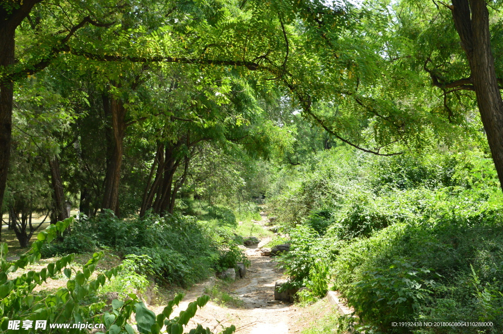 植物园风景