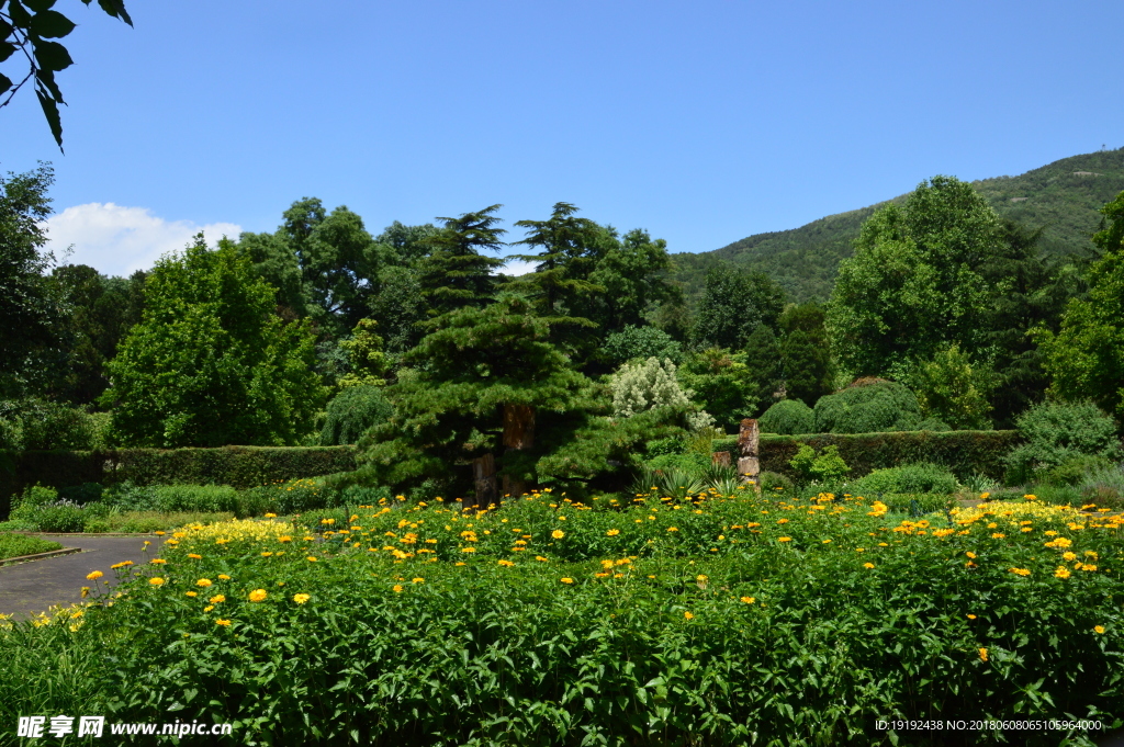 植物园风景