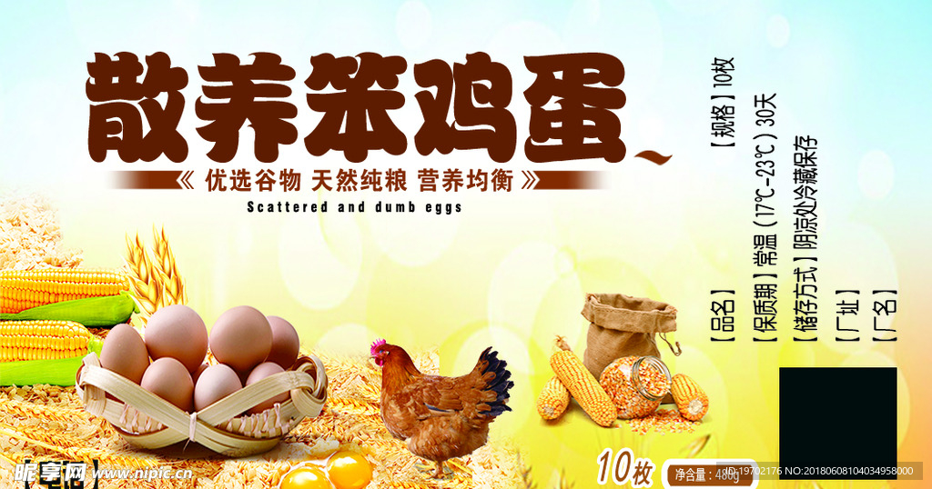 笨鸡蛋