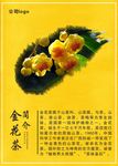 金花茶KT板