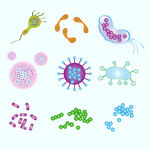 微生物插图